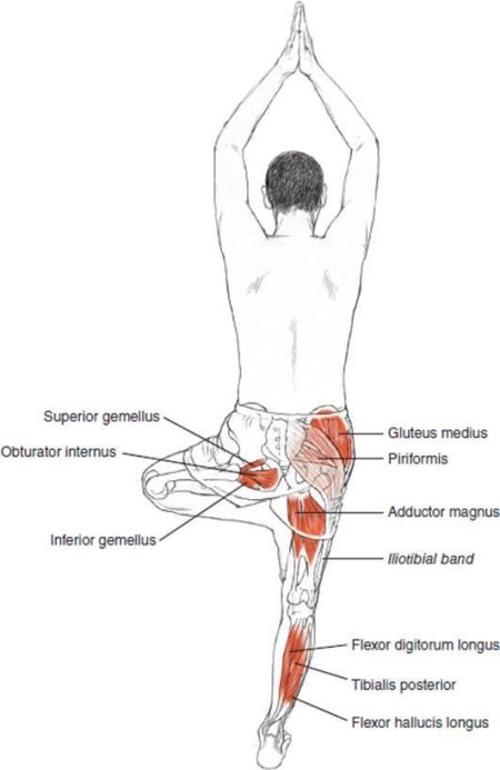 your-end-of-summer-glute-guide-daily-yoga-online-yoga-3