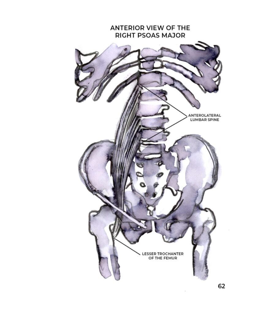 Five exercises for hip flexor strain