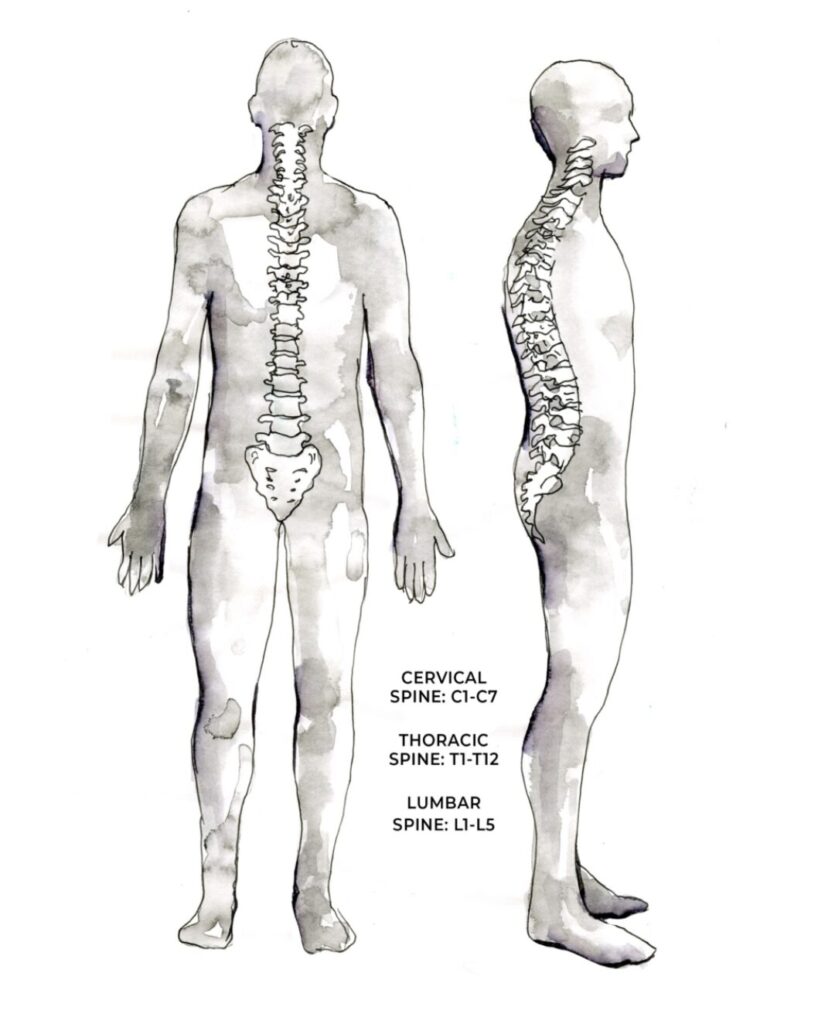 How to have a happy low back