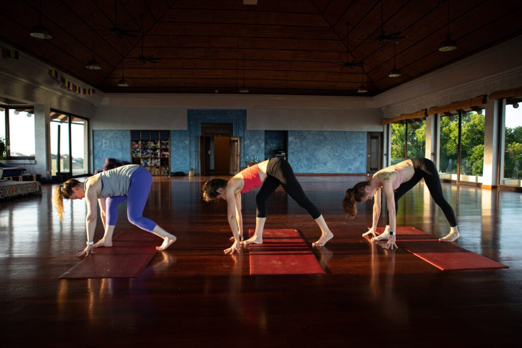 lyt method movement yoga online classes physical therapy team kristin williams lara heimann rhonna griffin mexico